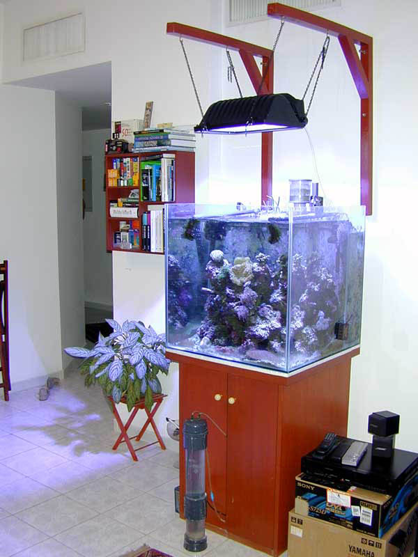 system
