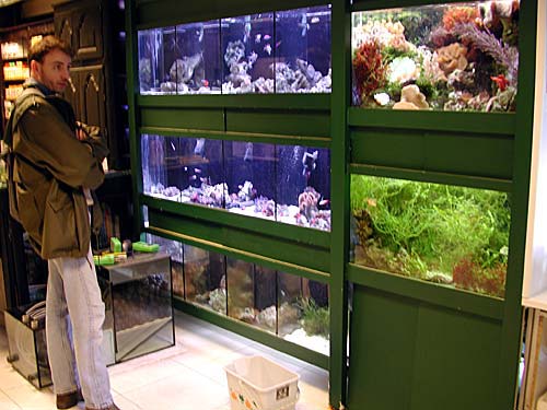 smalltanks