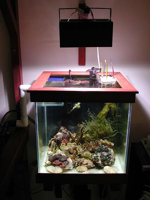 refugium1