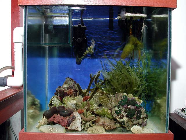 refugium4