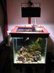 refugium1