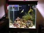 refugium2
