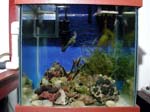 refugium4