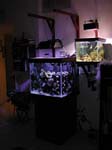lightscompare2