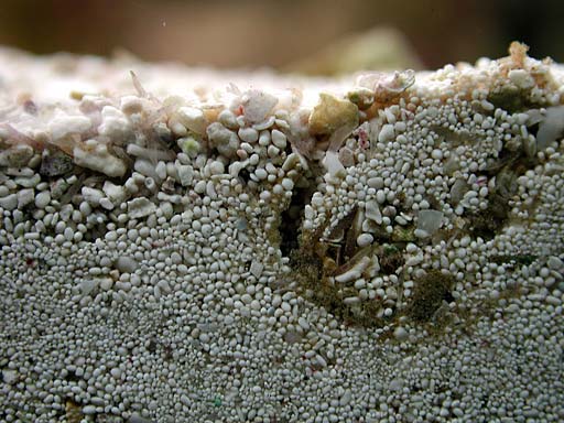 sand1