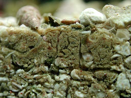 sand3
