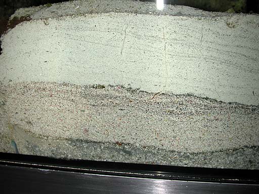 sand4