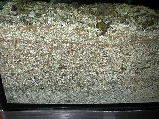 sand5