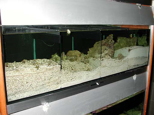 sand6