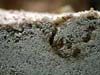 sand1